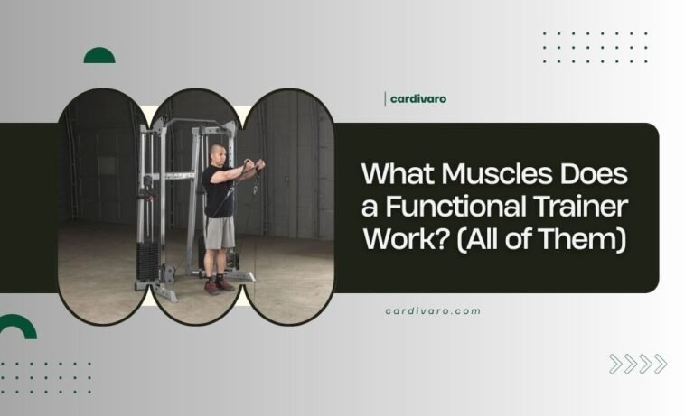 what muscles does a functional trainer work (all of them)